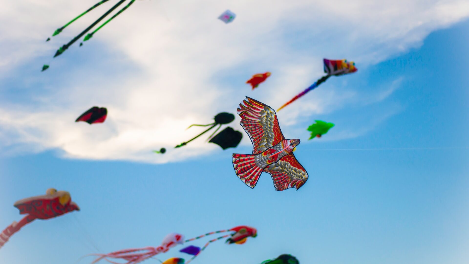 Various flying kites.