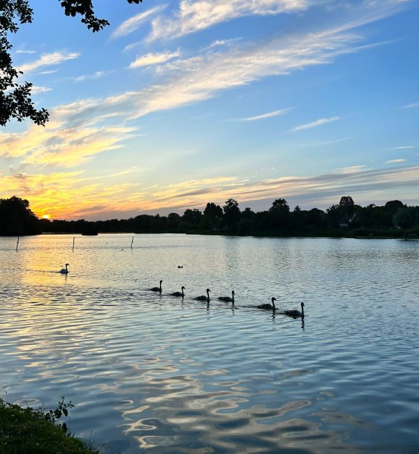 The Meare at sunset